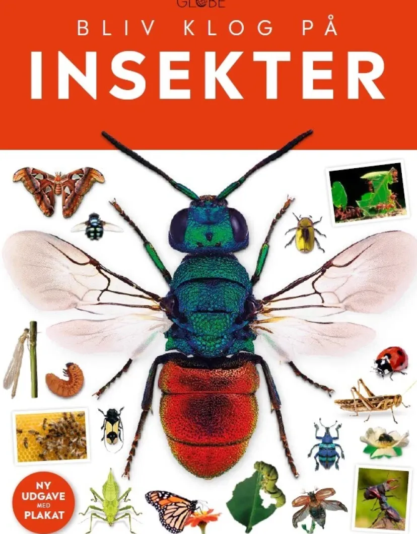Insekter> New