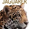 Jaguarer> Sale