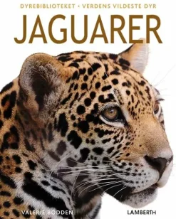 Jaguarer> Sale