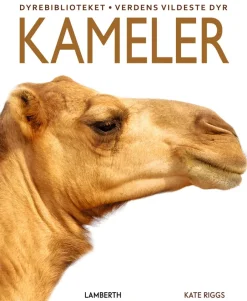 Kameler>