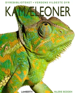 Kamæleoner>