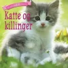 Katte og killinger> Outlet