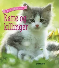 Katte og killinger> Outlet