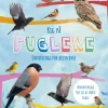 Kig på fuglene - Ornitologi for begyndere> Sale
