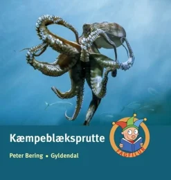 Kæmpeblæksprutte> Sale