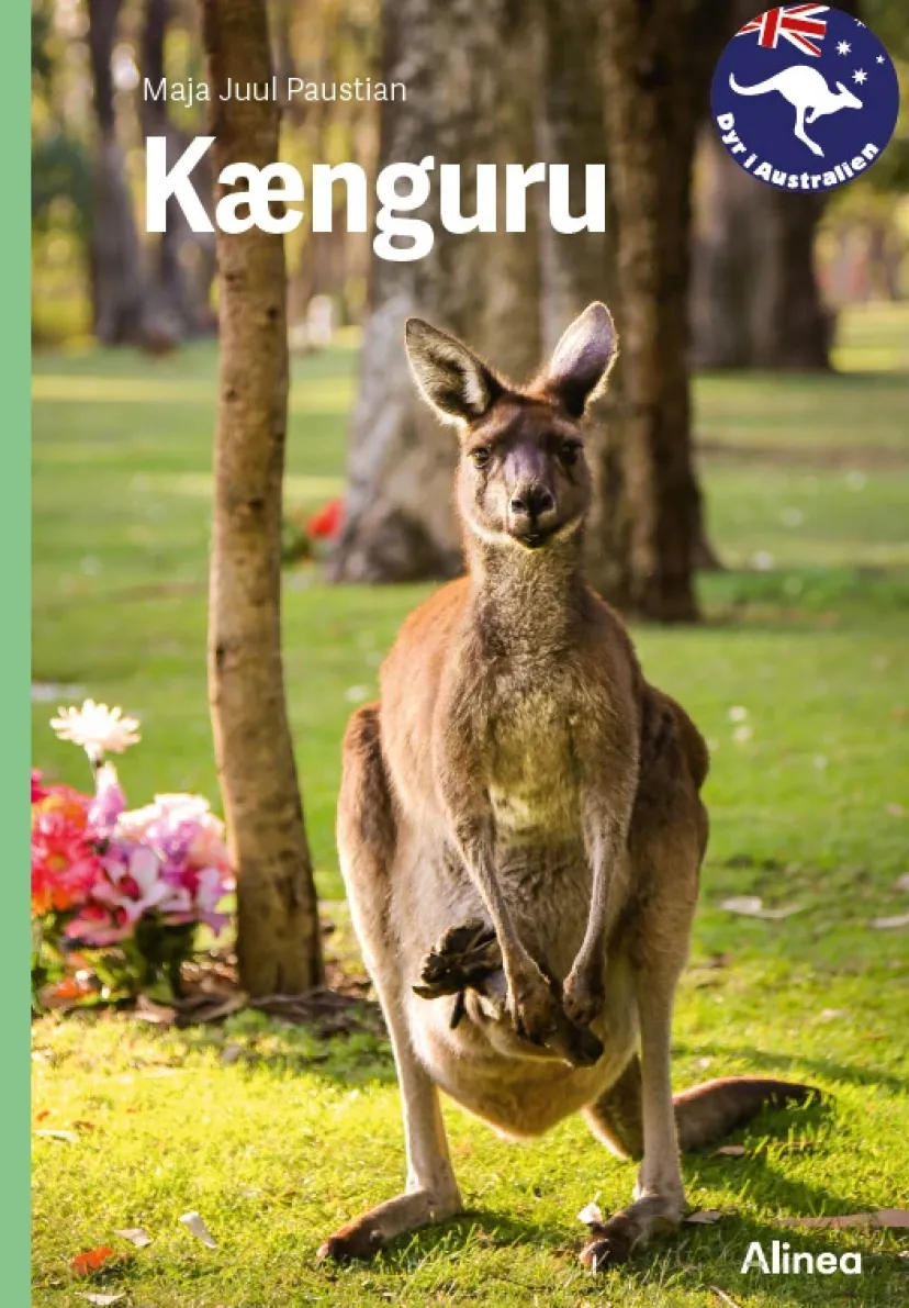 Kænguru, Grøn Fagklub> Discount