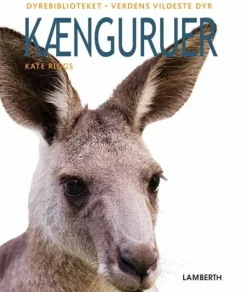 Kænguruer> Online