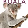 Koala> New