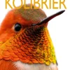 Kolibrier> Best