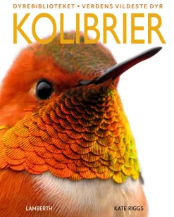 Kolibrier> Best