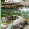 Krokodille, Grøn Fagklub> Outlet