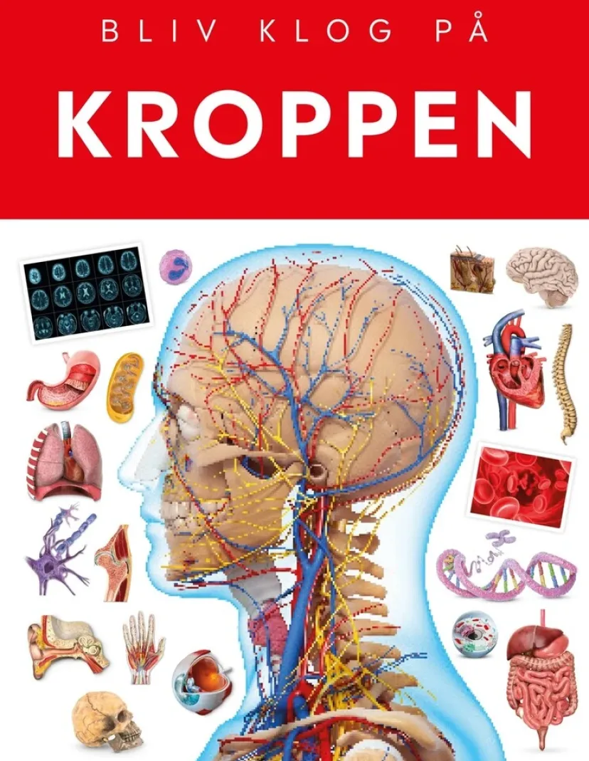 Kroppen> Outlet