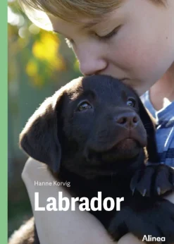 Labrador, Grøn Fagklub> Sale