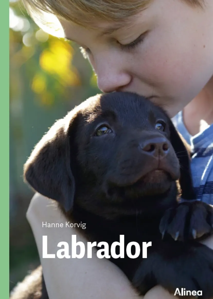 Labrador, Grøn Fagklub> Sale