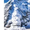 Laviner, Sort Fagklub> Online