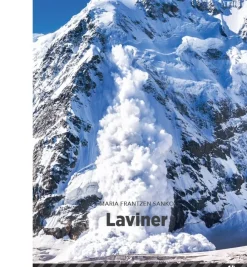 Laviner, Sort Fagklub> Online