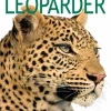 Leoparder> Sale