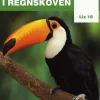Livet i regnskoven> New
