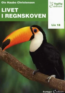 Livet i regnskoven> New