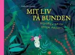 Mit liv på bunden> Outlet