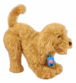 Moji the Lovable Labradoodle><noscript><img width=