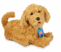 Moji the Lovable Labradoodle><noscript><img width=