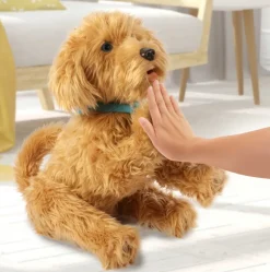 Moji the Lovable Labradoodle><noscript><img width=
