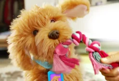 Moji the Lovable Labradoodle><noscript><img width=