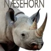Næsehorn>