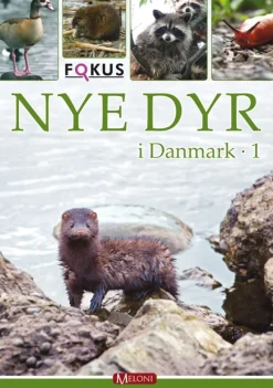 Nye dyr i Danmark 1> Hot