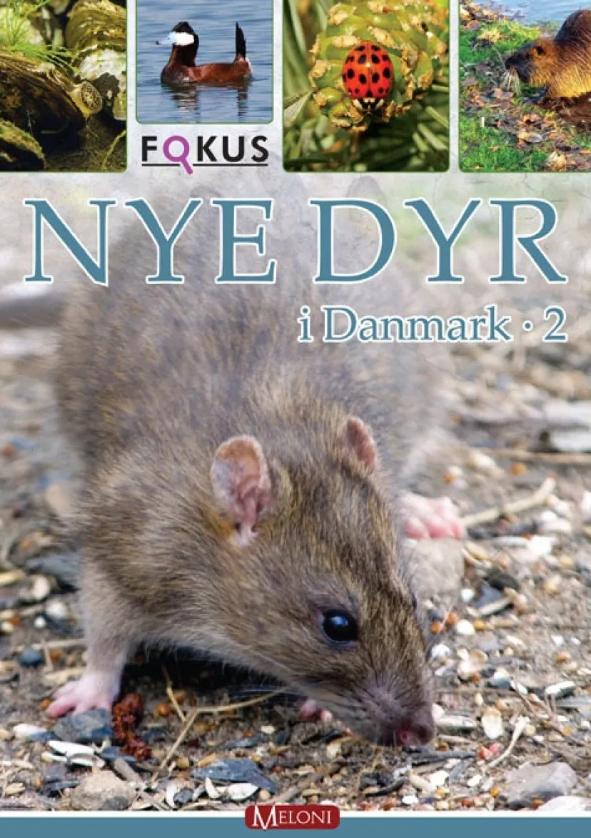 Nye dyr i Danmark 2> Online