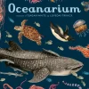 Oceanarium> Outlet