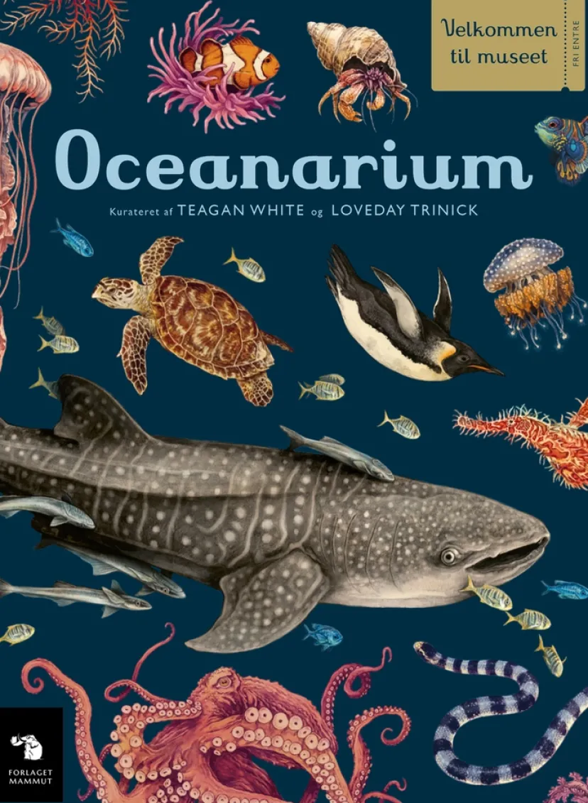 Oceanarium> Outlet