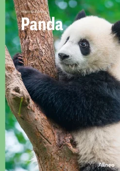 Panda, Grøn Fagklub> New
