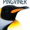 Pingviner> Clearance