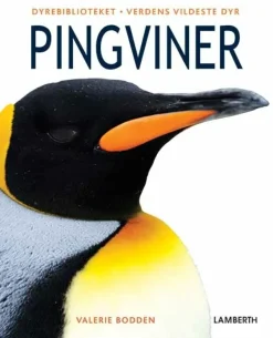 Pingviner> Clearance