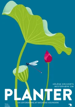 Planter> Best
