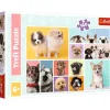 Puslespil Dog friendship 160 brikker>TREFL Sale