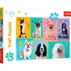 Puslespil In the world of dogs 100 brikker>TREFL Online