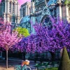 Puslespil Notre Dame Cathedral of Paris 1000 brikker>TREFL Best