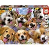 Puslespil Puppies Selfie Howard Robinson 1000 brikker>Educa Best