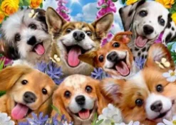 Puslespil Puppies Selfie Howard Robinson 1000 brikker>Educa Best