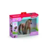 BH Akhal-tekiner-hingst>Schleich Outlet