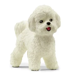 Bichon Frisé>Schleich Outlet