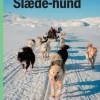 Slædehund, Grøn Fagklub>