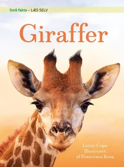 Små fakta: Giraffer>