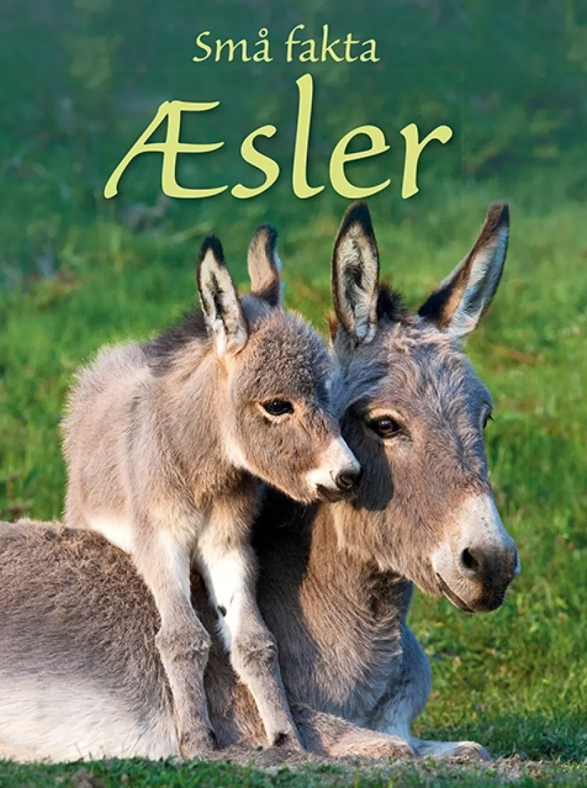Små Fakta: Æsler> Clearance