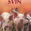 Små fakta: Svin>