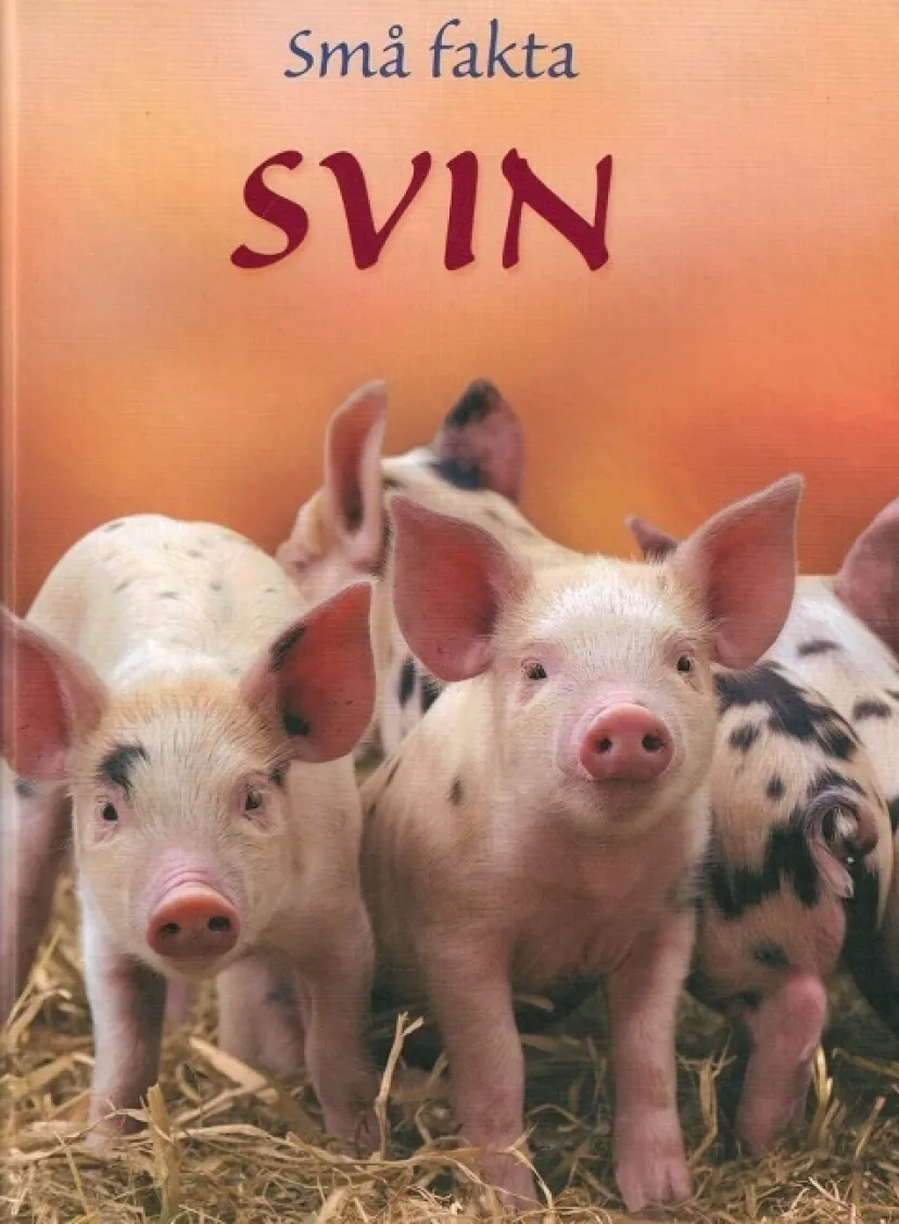 Små fakta: Svin>