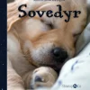 Sovedyr> Sale